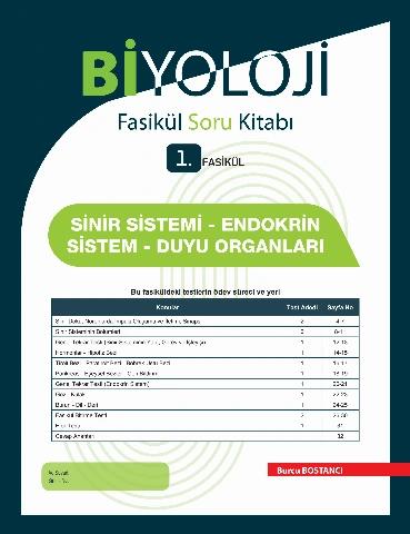 PALME 8. SINIF ENGLISH TEST BOOKLET YAPRAK TEST NEXT LEVEL