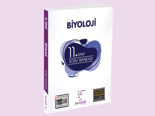 PARAGRAF ANALİZİ SORU BANKASI