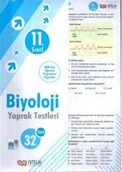 YANIT 6. SINIF SOSYAL BİLGİLER SADECE ETKİNLİK
