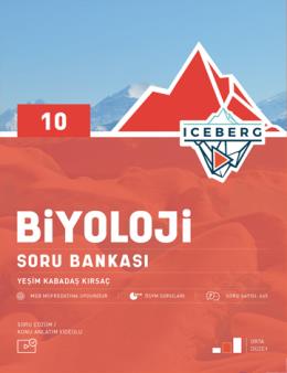 İNCE DETAY LGS 5'Lİ KARMA KURUMSAL DENEME
